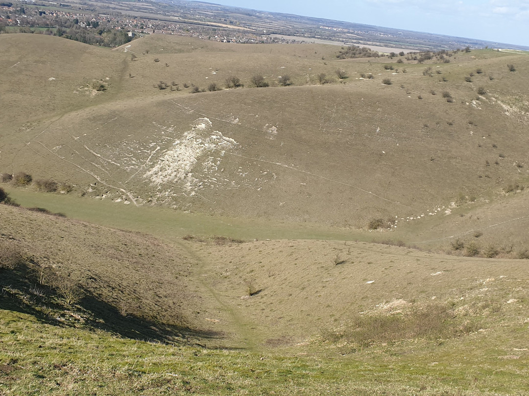 The Barton Hills National Nature Reserve景点图片
