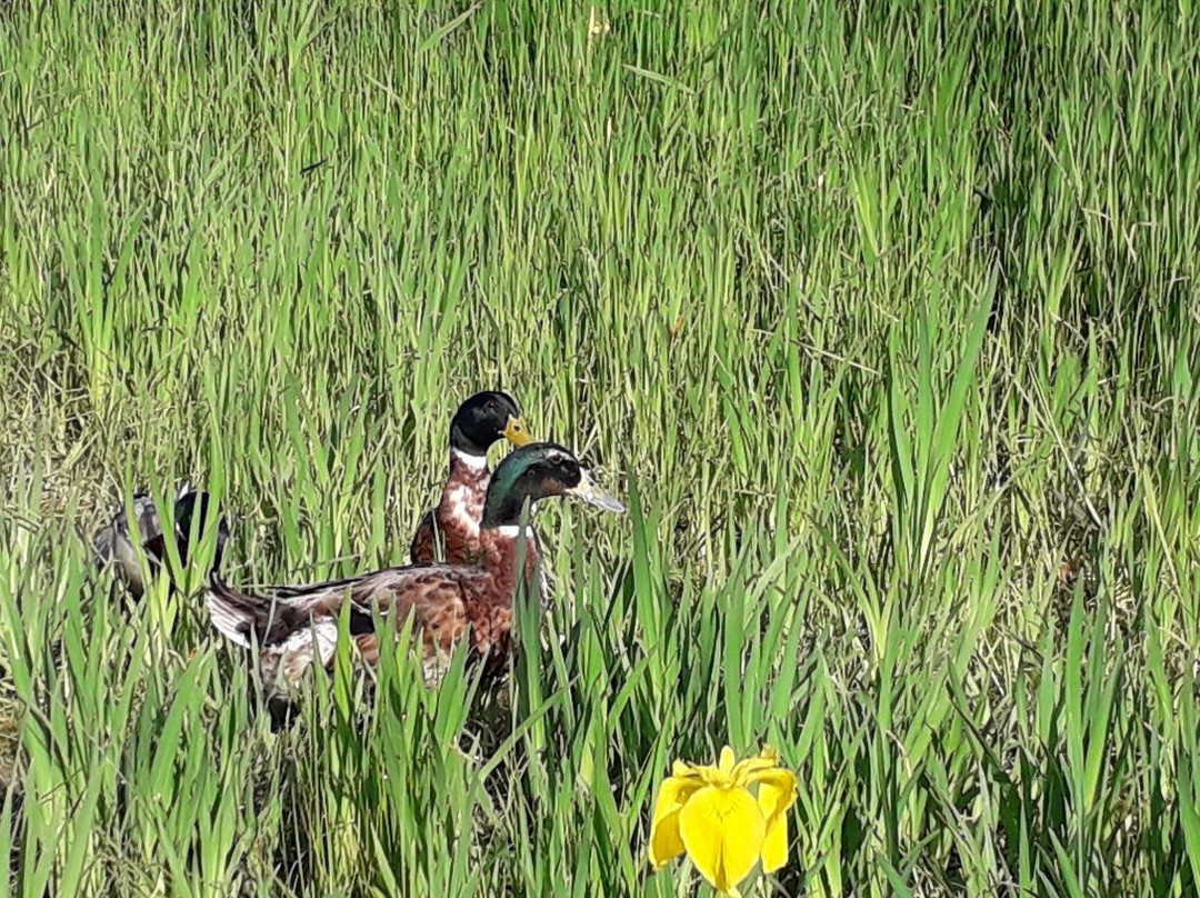 Yangsan Water Park-梁山市必去景点