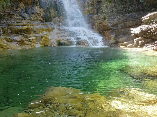 Green Oliver-塞萨洛尼基必去景点