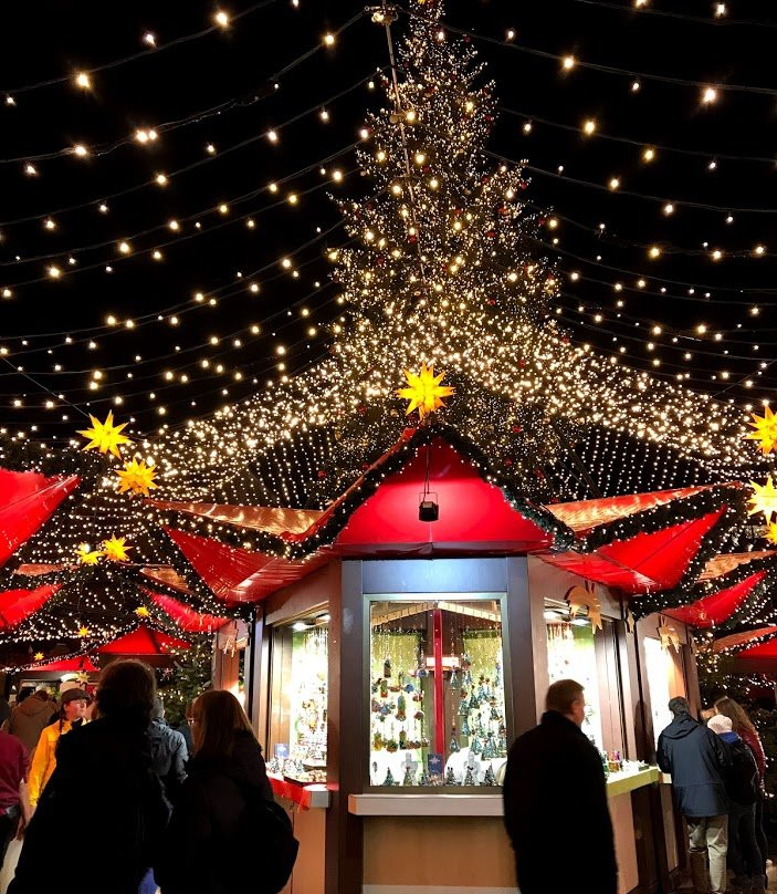 Freediving school - Apneists UK-曼彻斯特必去景点