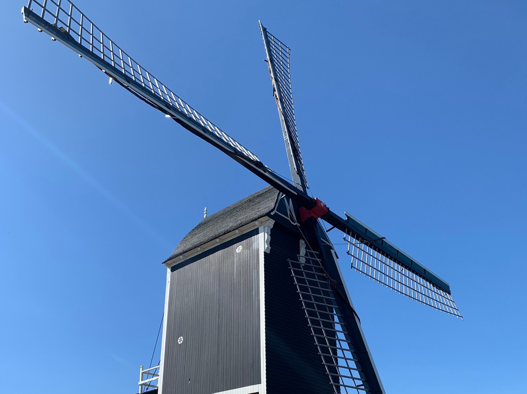Stadshaven Heusden-Heusden必去景点