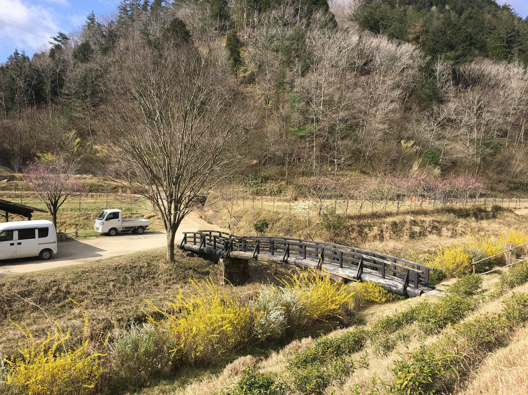 Shigaraki no Sato-甲贺市必去景点