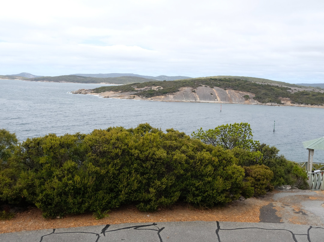 Ellen Cove Boardwalk-奥尔巴尼必去景点