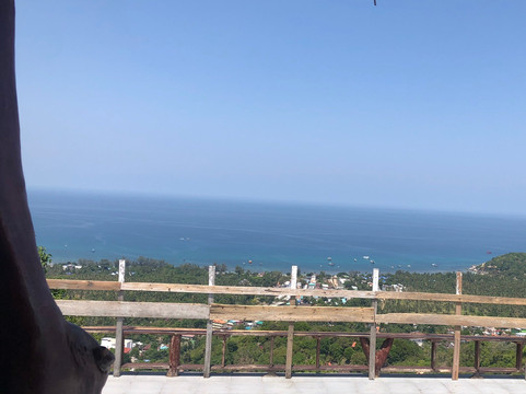 Blue Immersion Freediving-涛岛必去景点