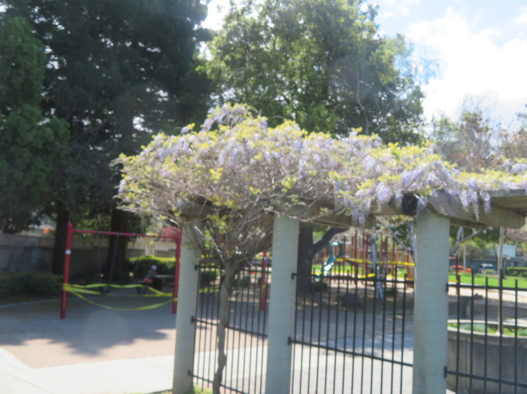 Klein Park-山景城必去景点