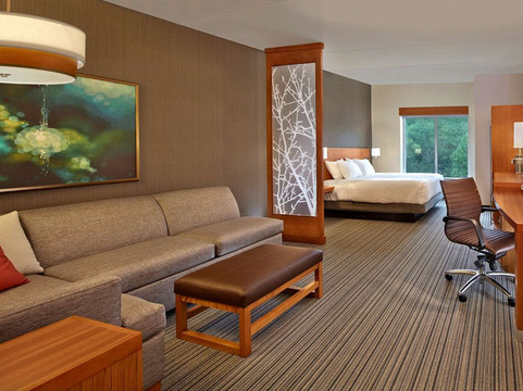 教堂山南村凯悦嘉轩酒店主图