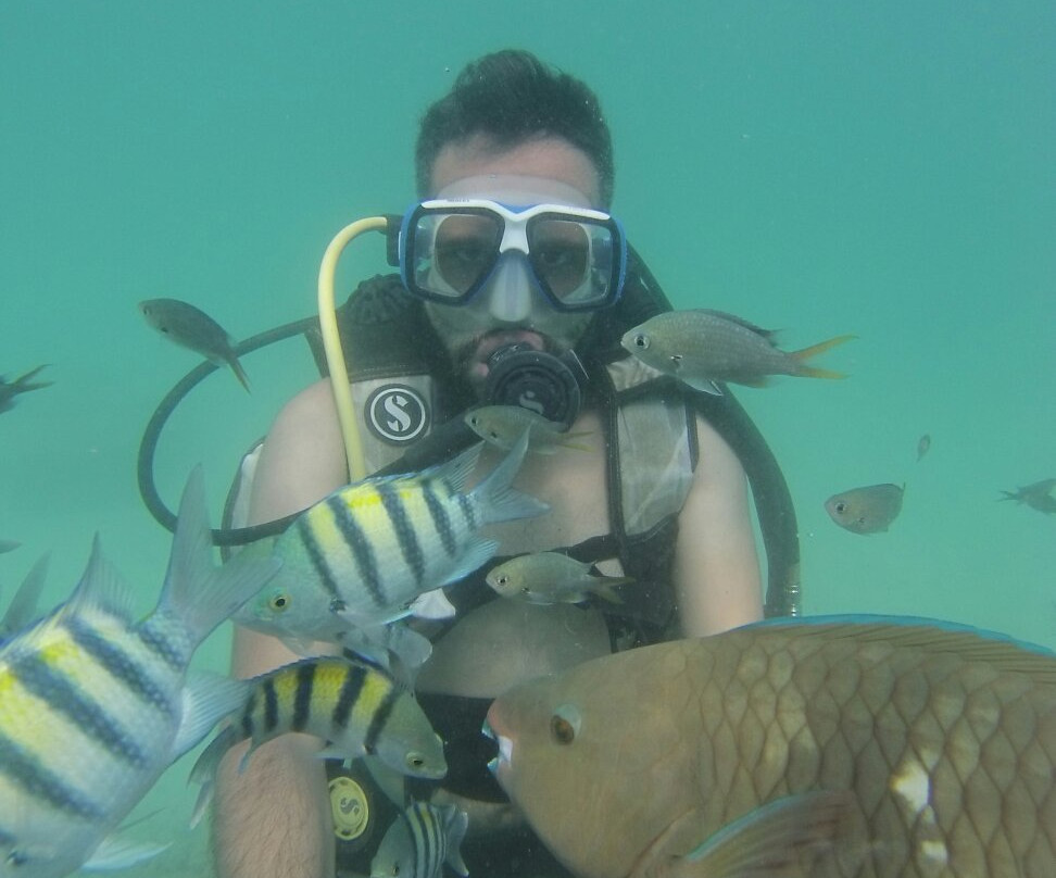 Kish diving center-基什岛必去景点
