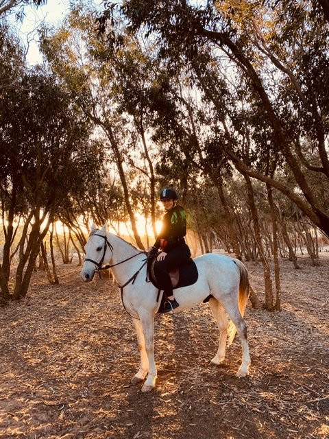 Family Adventure-索维拉必去景点