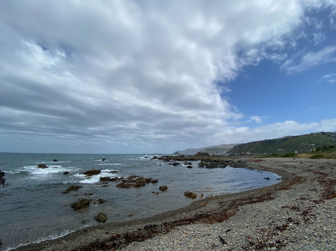 Lyall Bay景点图片