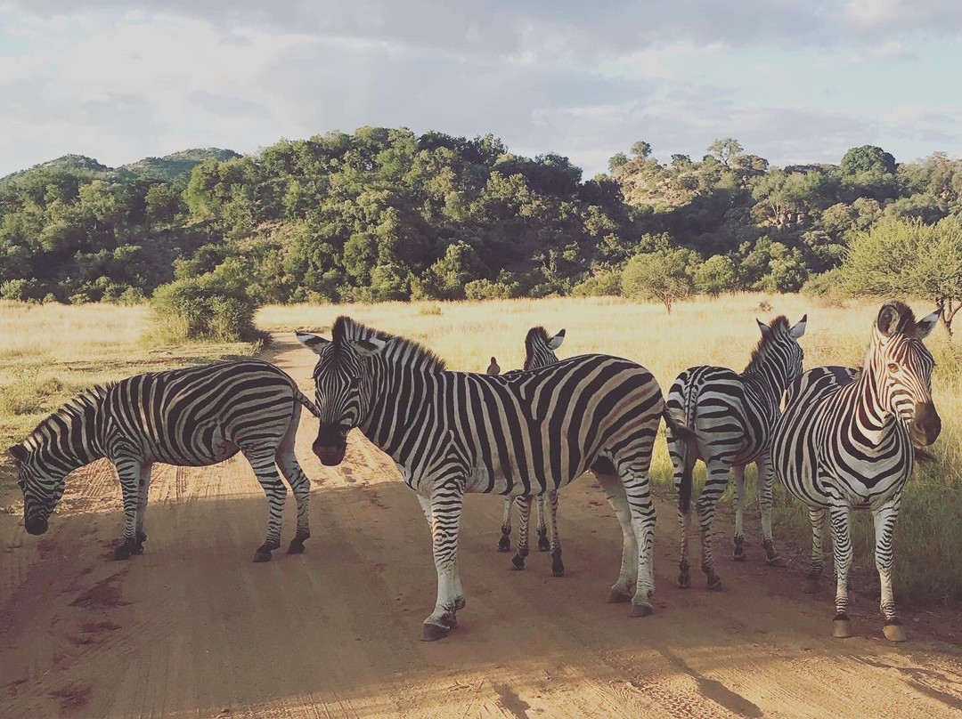 Mogwase旅游攻略图片