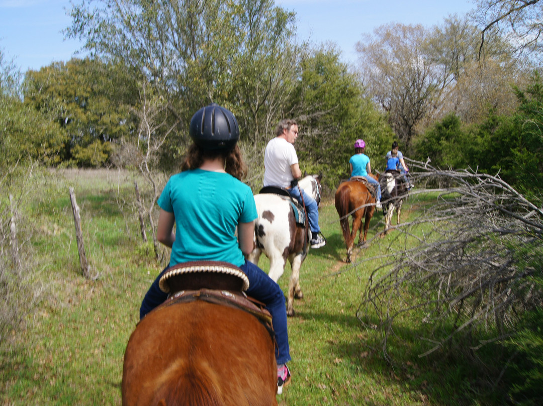Draggin' H Ranch Group-Clifton必去景点