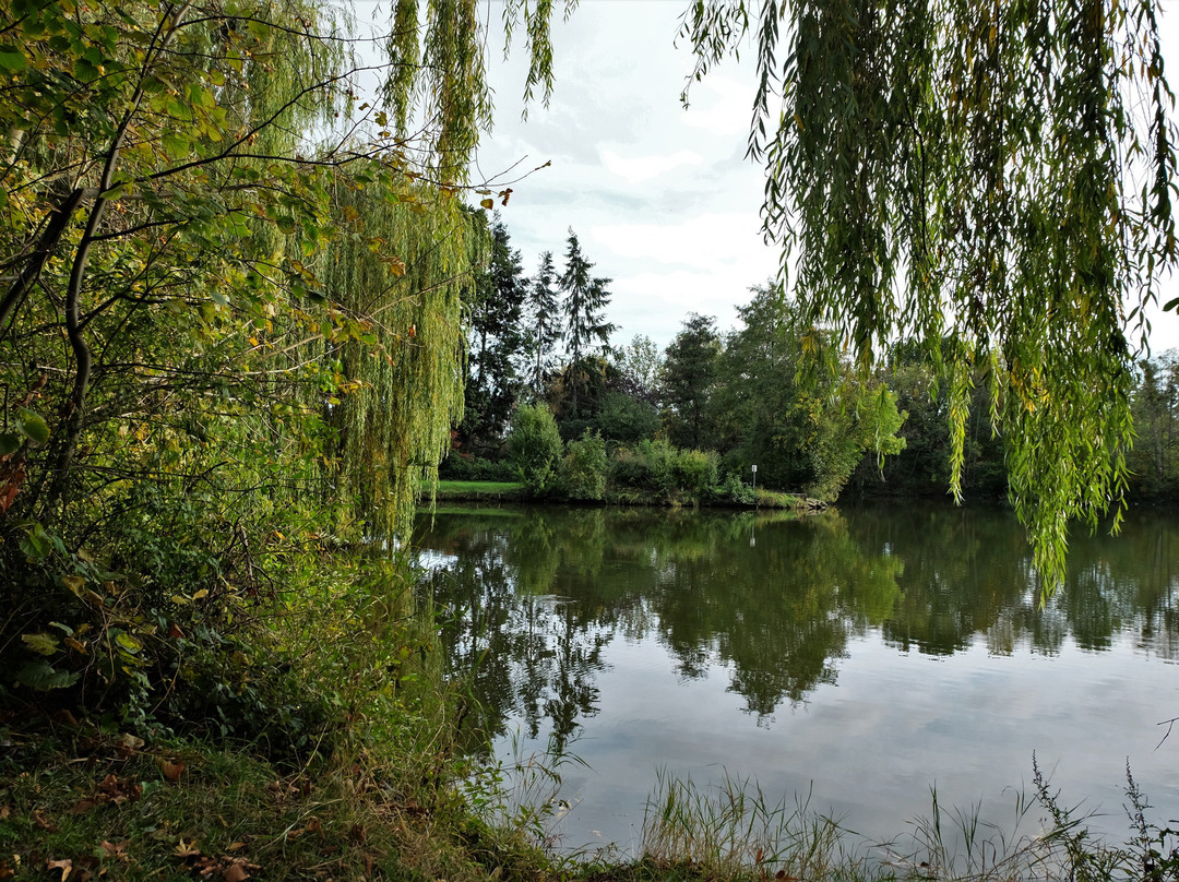 Ludgeriteich-Helmstedt必去景点