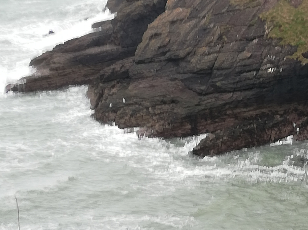 Dunmore East Coastal Walk-Dunmore必去景点