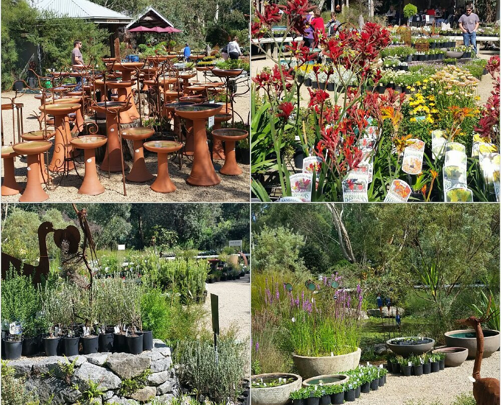 Kuranga Native Nursery-Mount Evelyn必去景点
