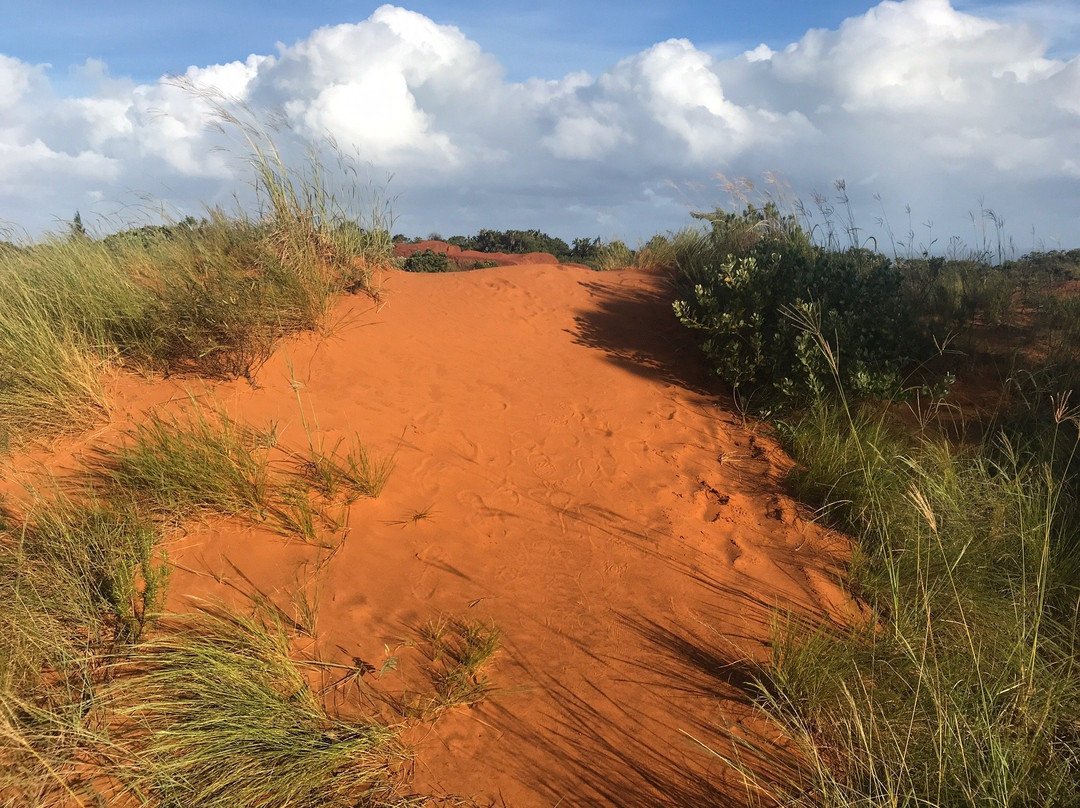 Red Desert景点图片