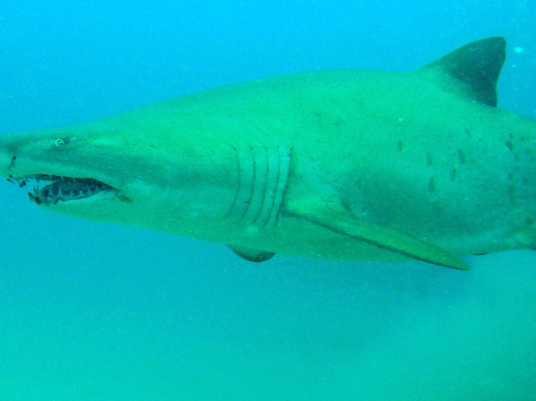 Sodwana Bay Lodge主图