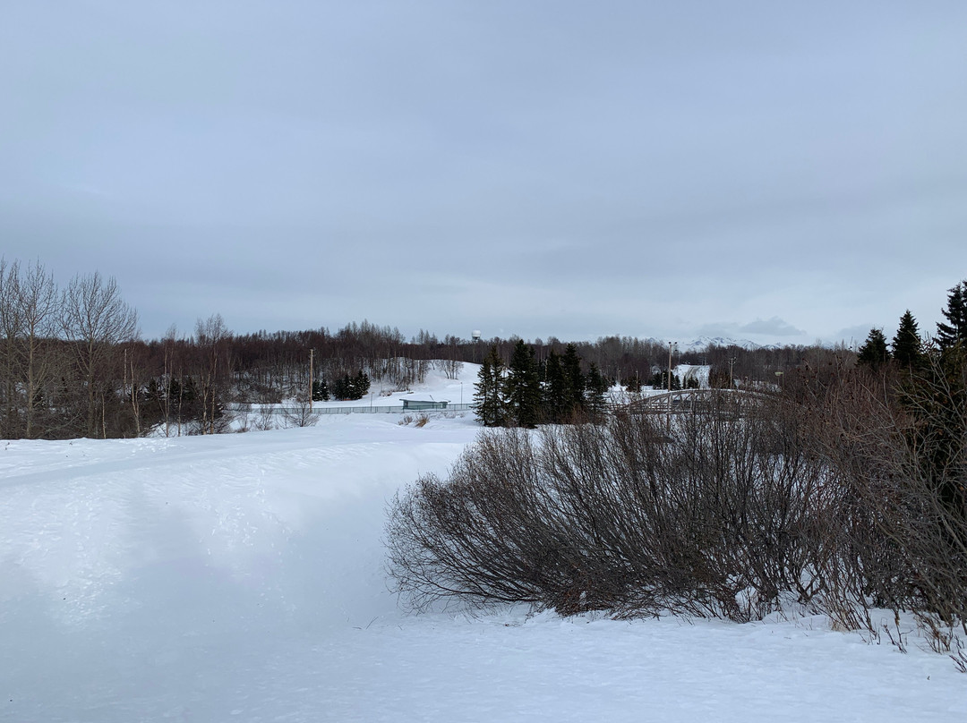 Kincaid Park-安克雷奇必去景点