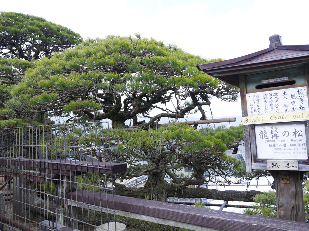 Ryuzen no Matsu-Itsukushima必去景点
