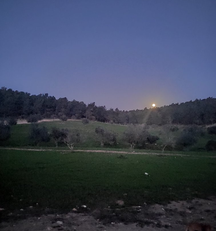 Joe Alon Center-Lahav必去景点