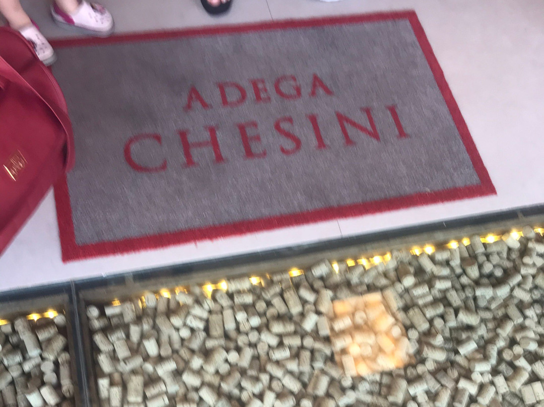 Adega Chesini景点图片