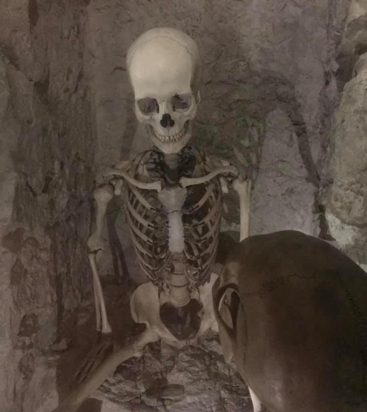 Naturkundemuseum im Ottoneum-卡塞尔行政区必去景点