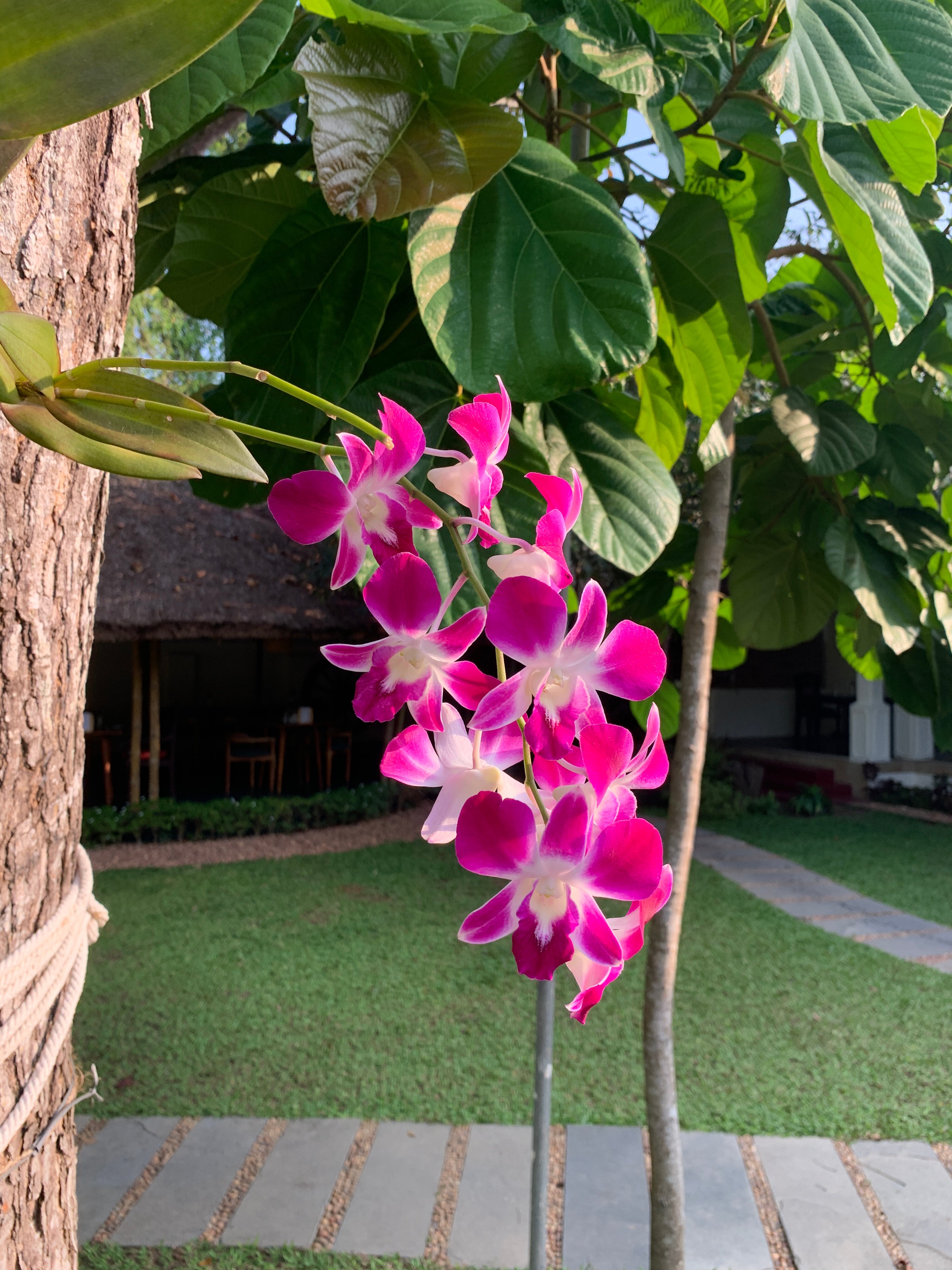 Flamingo Boutique Villa-泳池