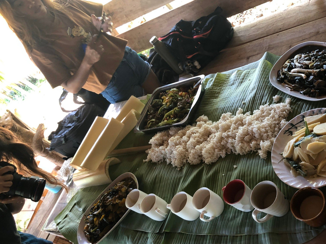 Bayatakan Farm Experience景点图片