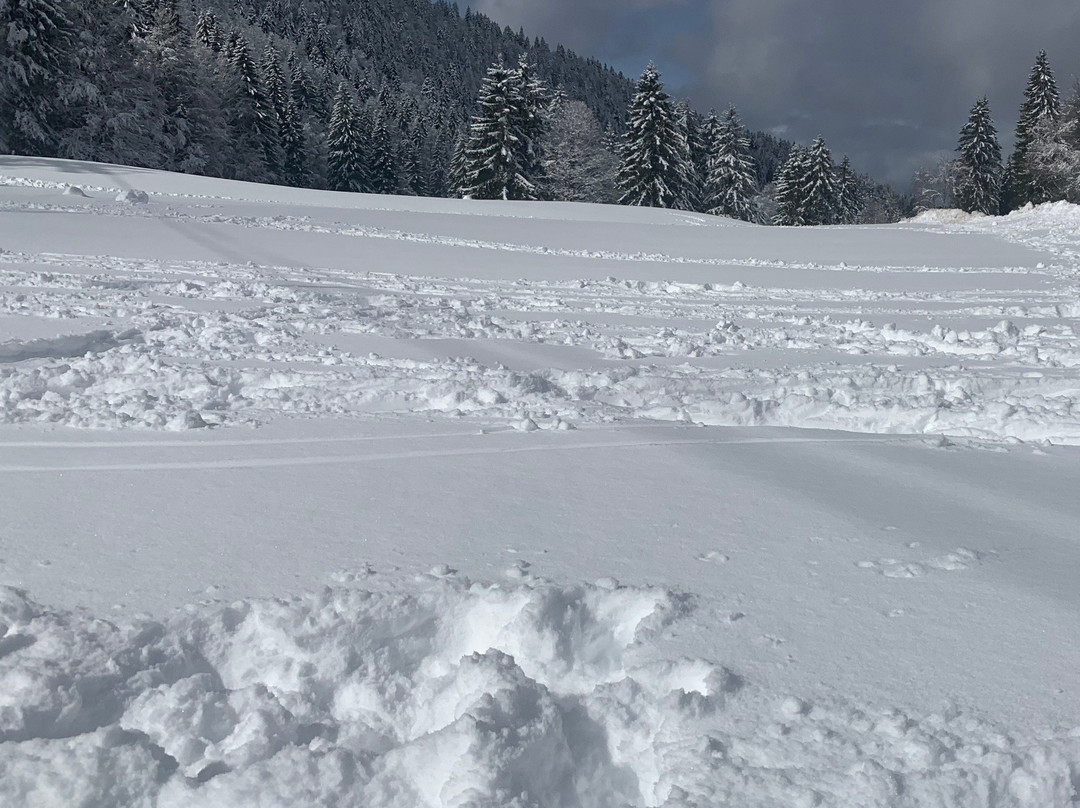 Station de Ski des Rousses-Les Rousses必去景点
