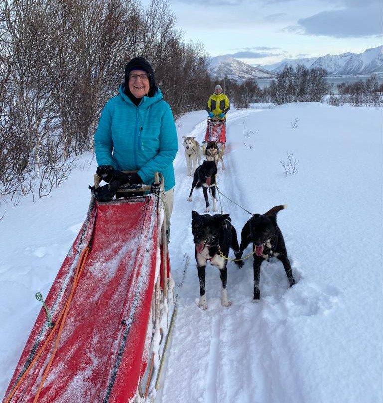 Sortland Villmarkssenter-Sortland必去景点