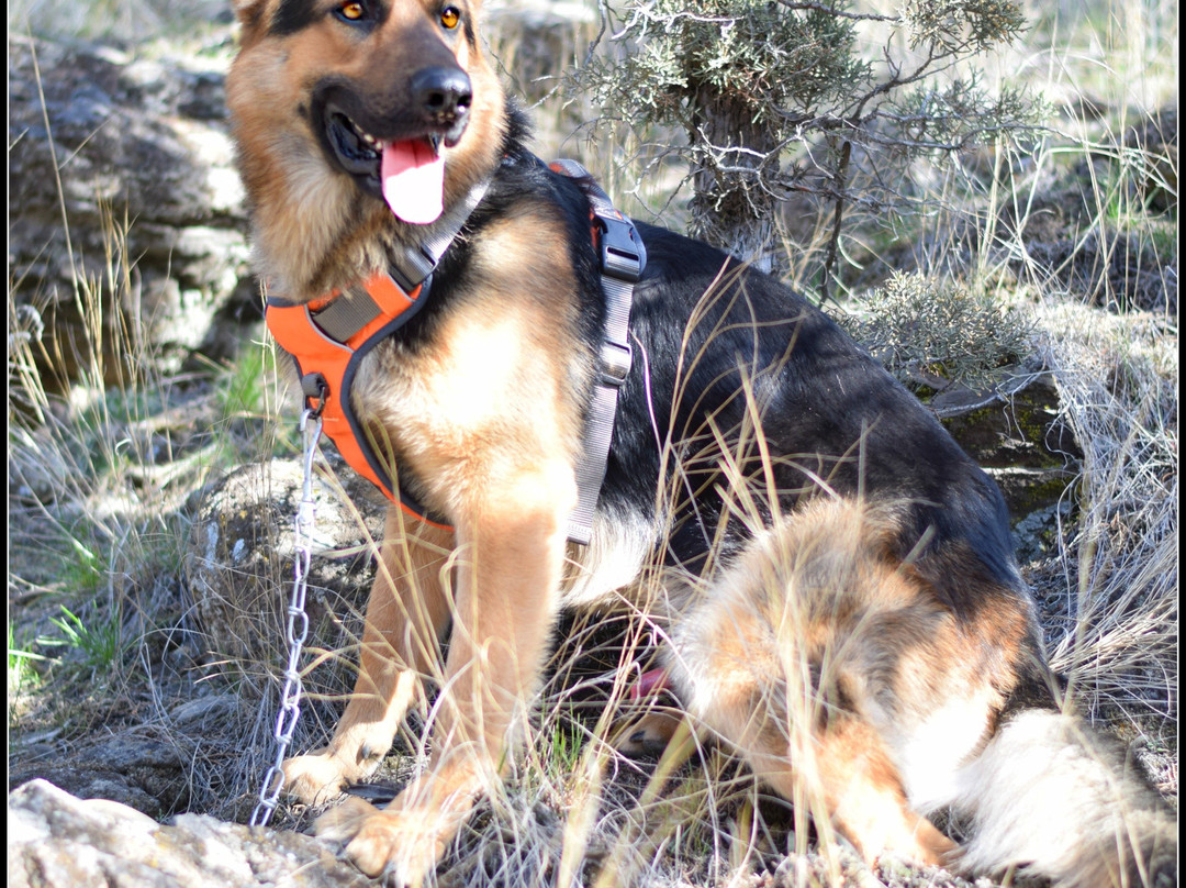 Cline Falls State Park-雷德蒙德必去景点