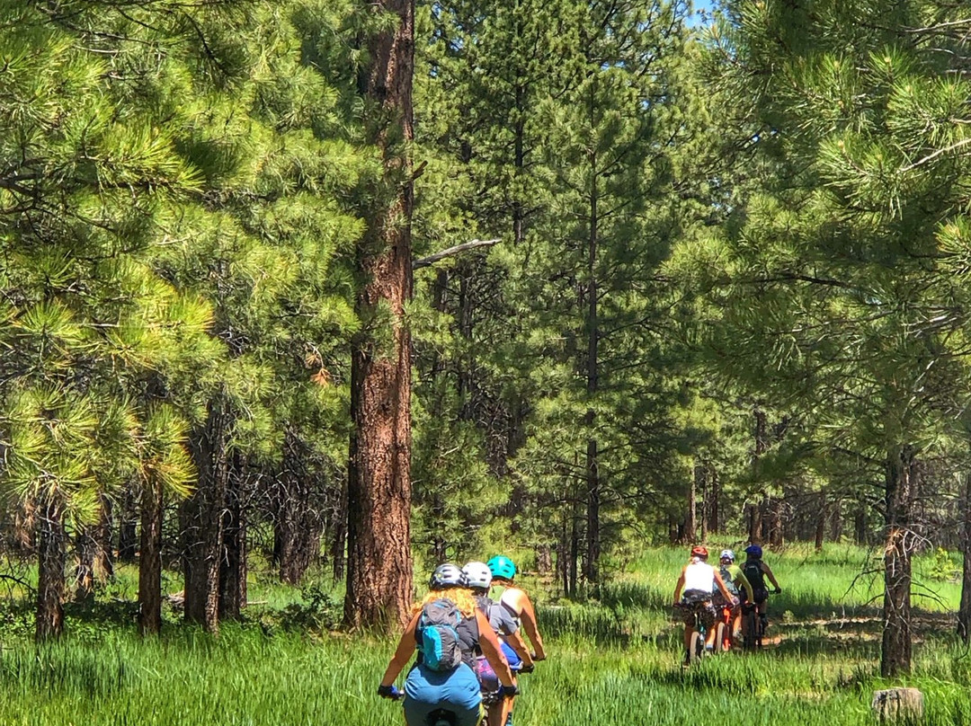 Soul Ride Bike Shop & Taproom-普雷斯科特必去景点
