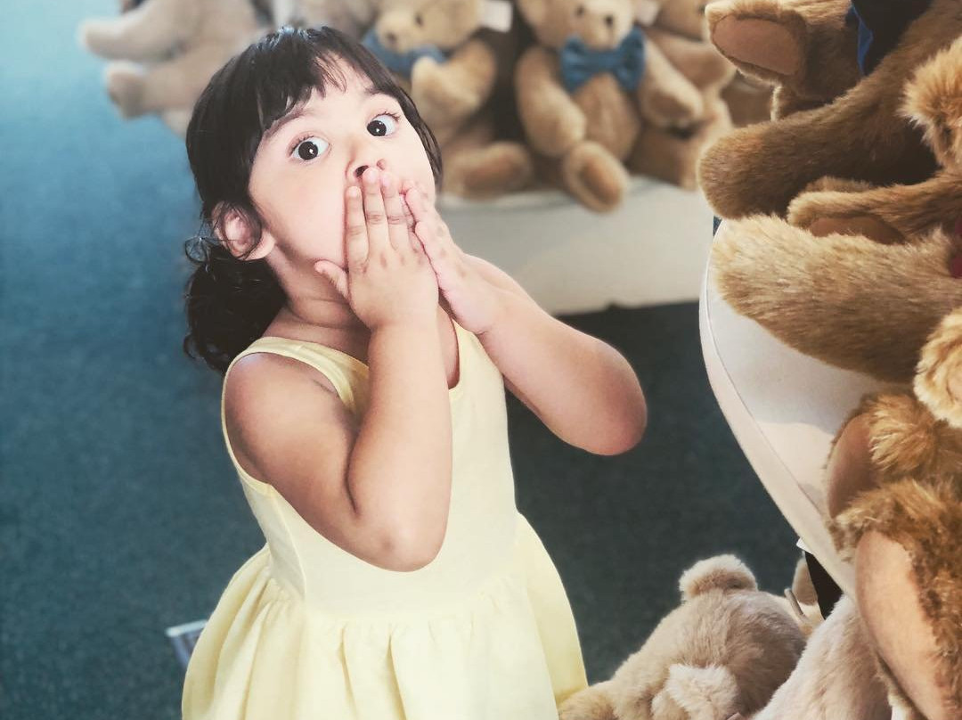 佛蒙特泰迪熊公司-谢尔本必去景点