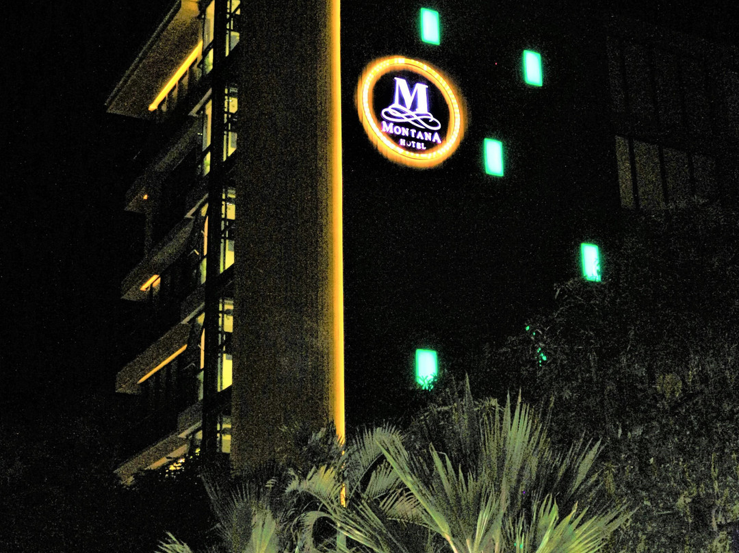 Montana Hotel主图