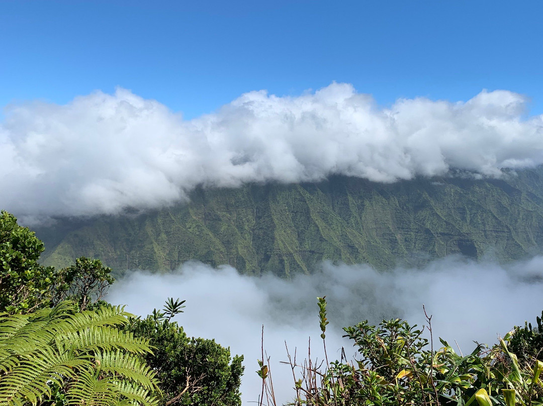Pihea Trail-科卡哈必去景点