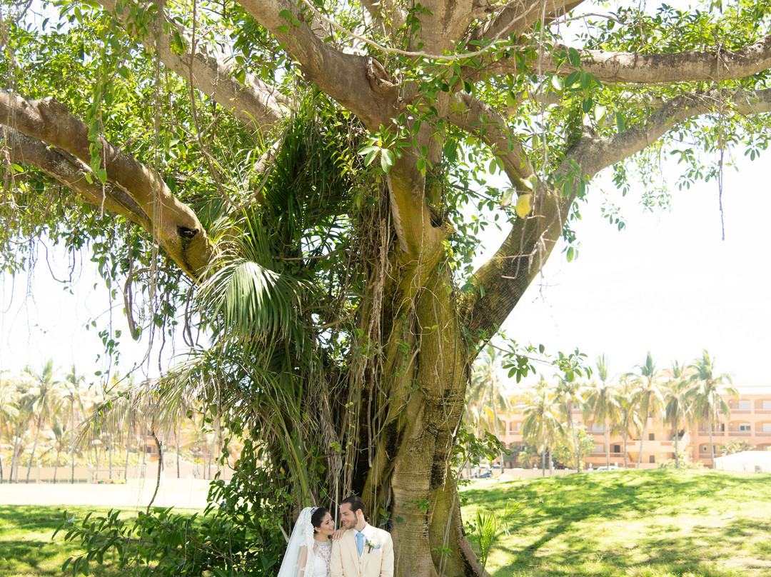 Las Villas Hotel & Golf By Estrella del Mar主图