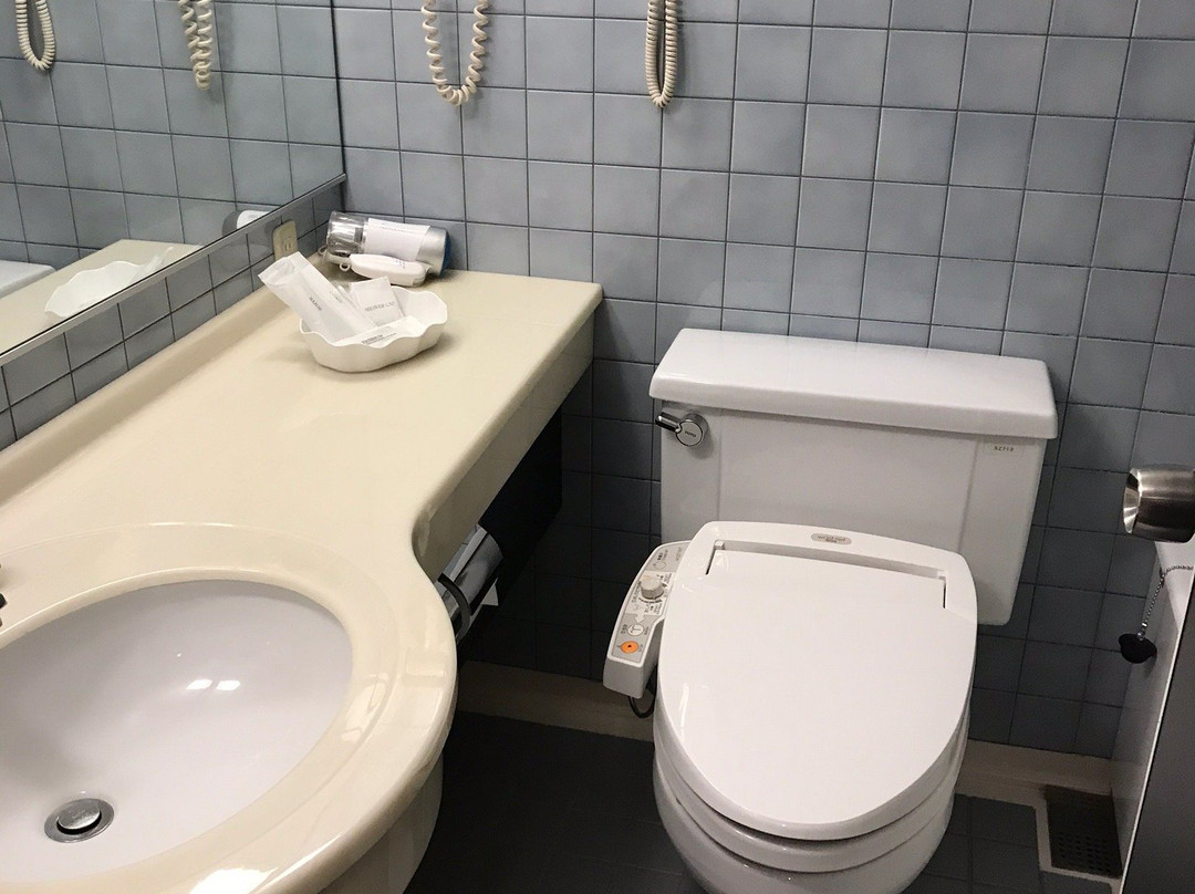 皇宫大酒店主图