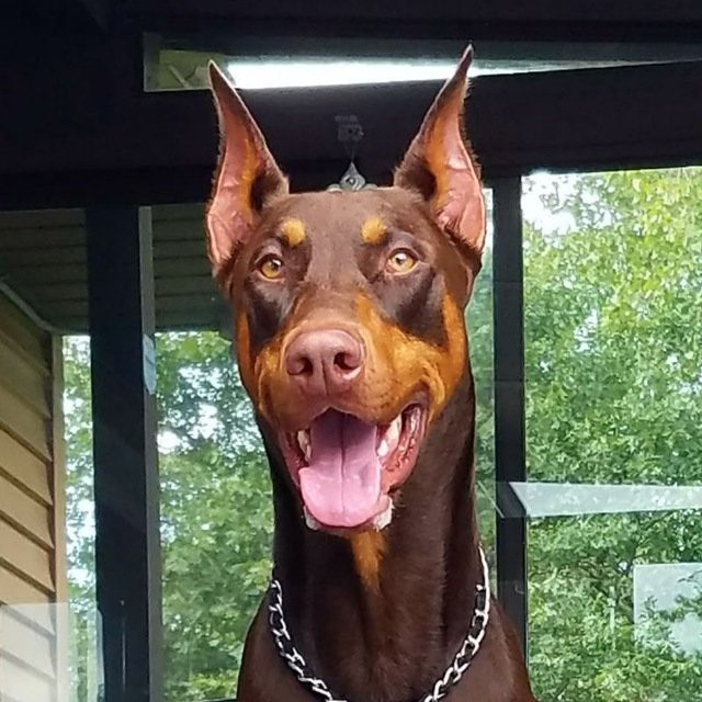 Centrio Mall-卡加延市必去景点