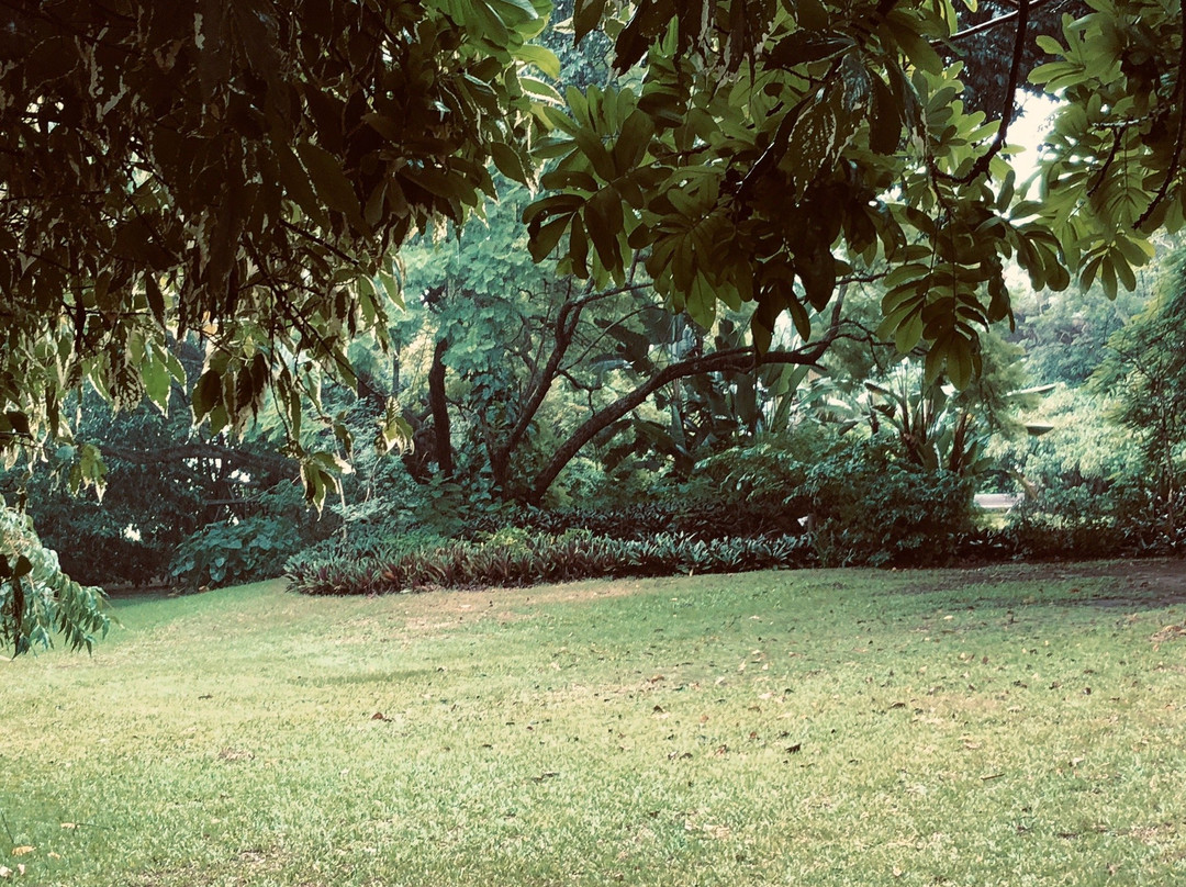 Chantilly Resort主图