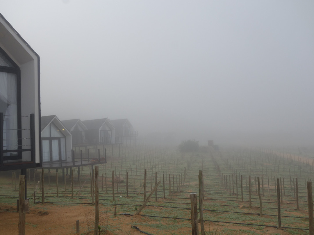 Oeno Wine Lodge主图