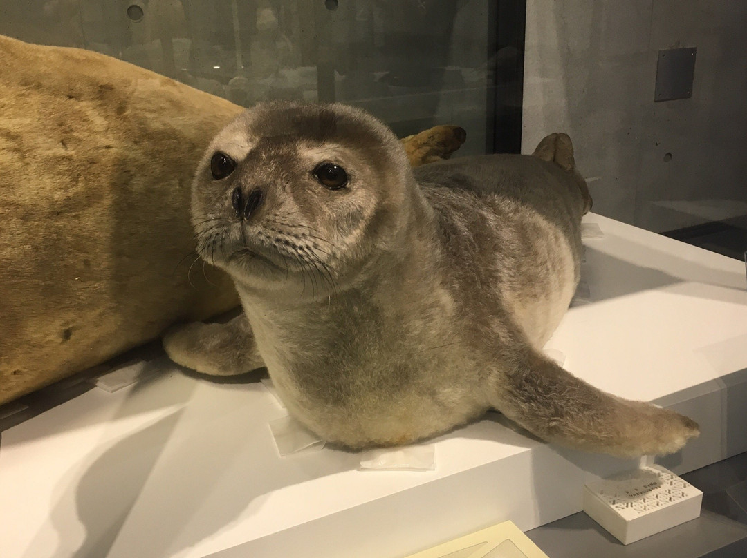 Polar Science Museum-立川市必去景点