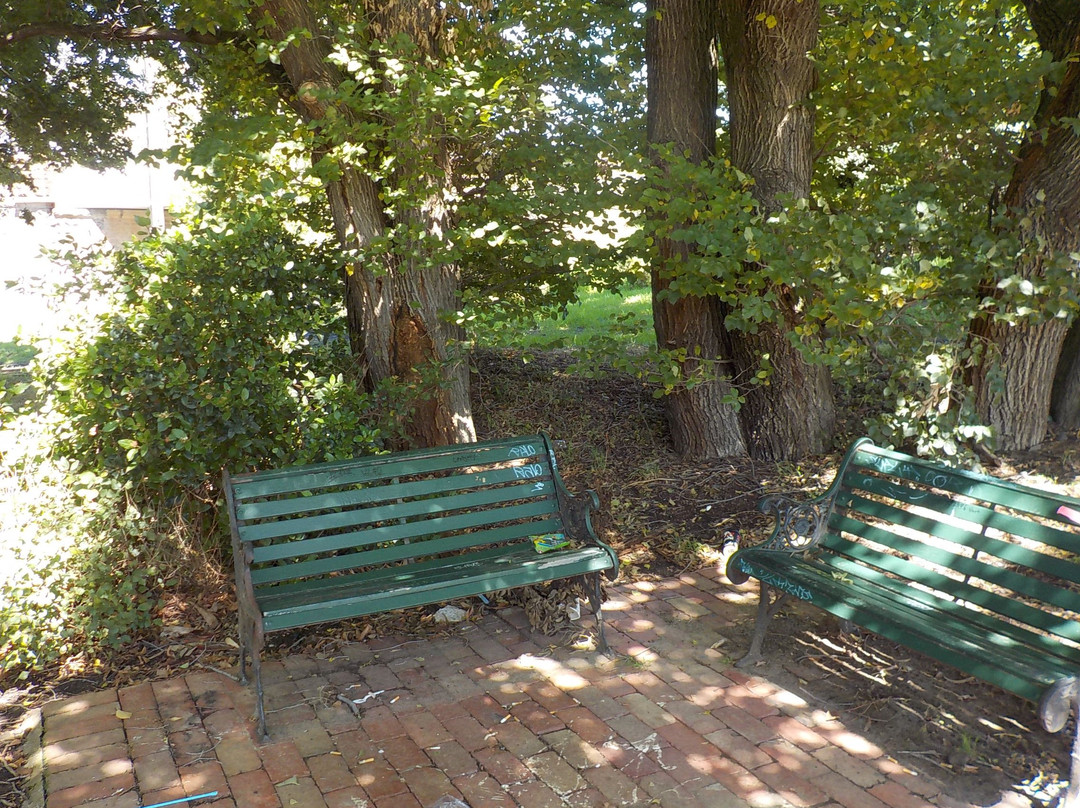 Marion Street Reserve-布莱顿必去景点
