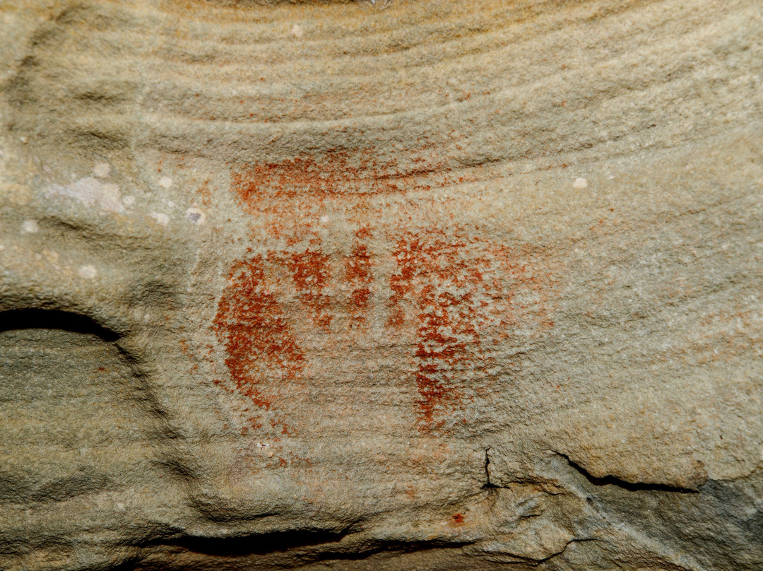 Guringai Aboriginal Tours景点图片