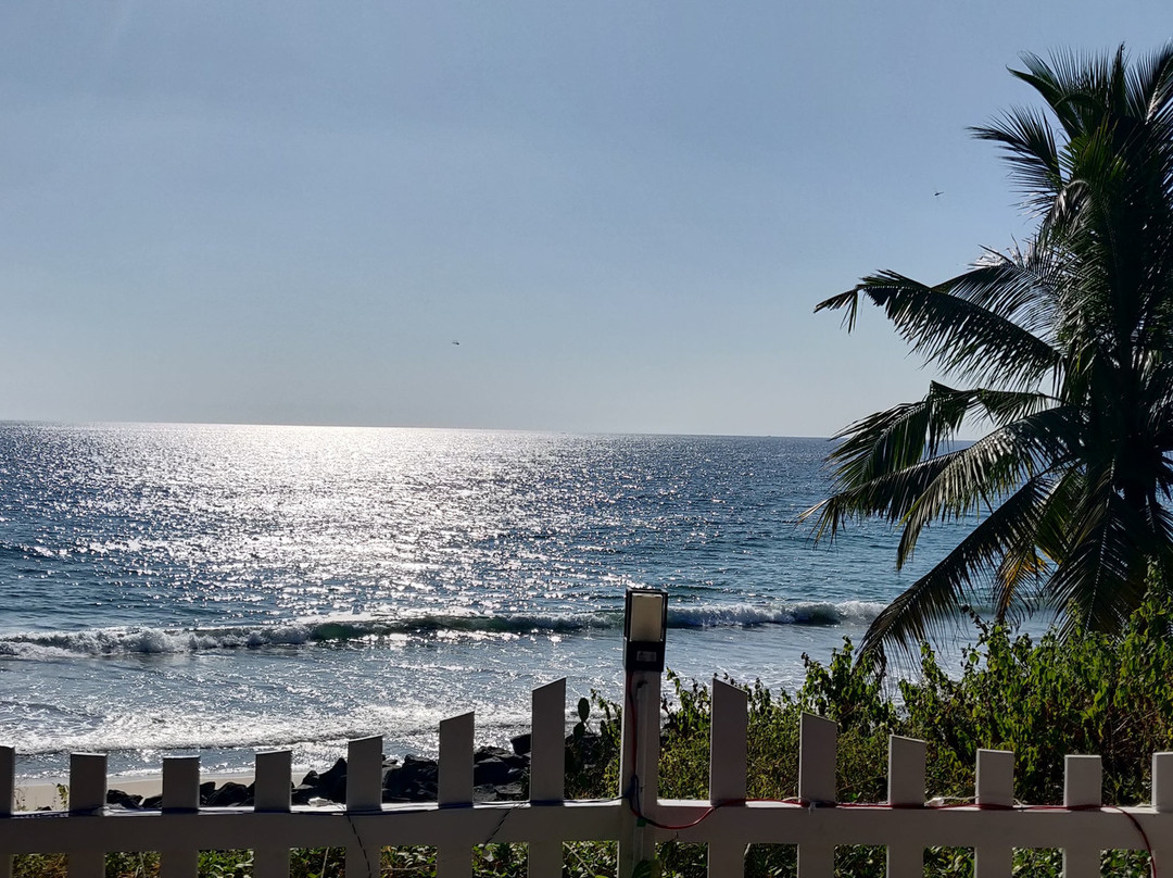 Miracle by the Bay主图