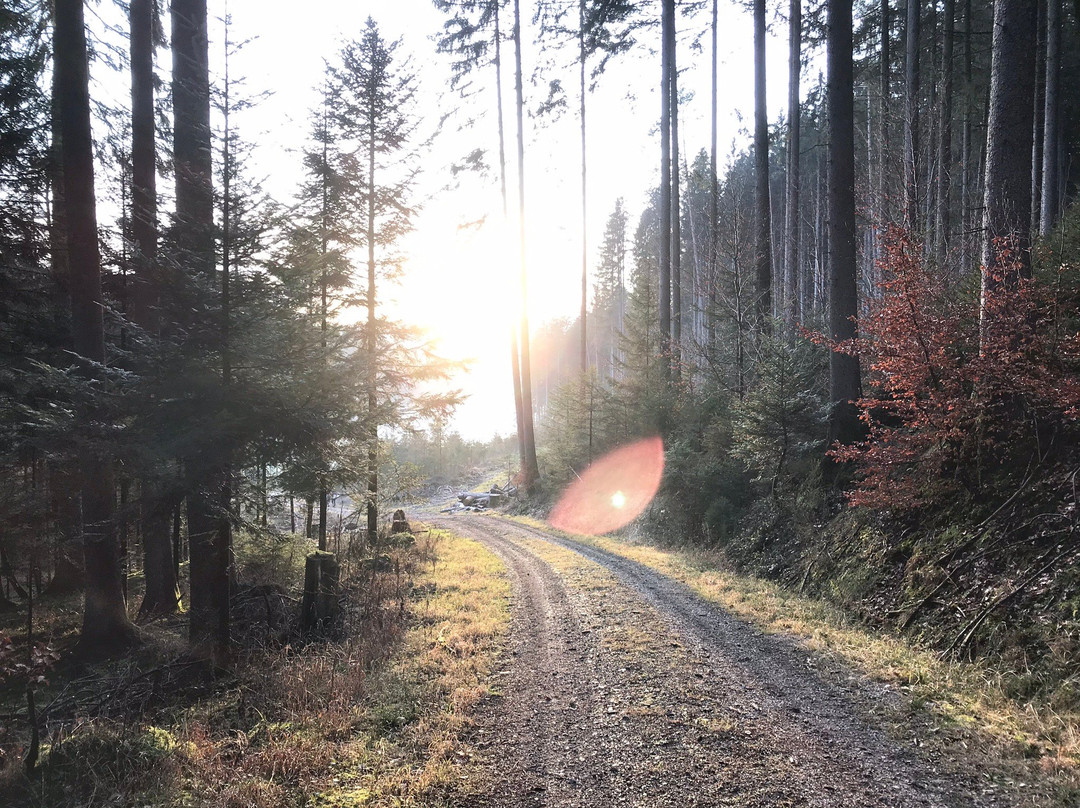 Naturpark Schwaebisch-Fränkischer Wald景点图片