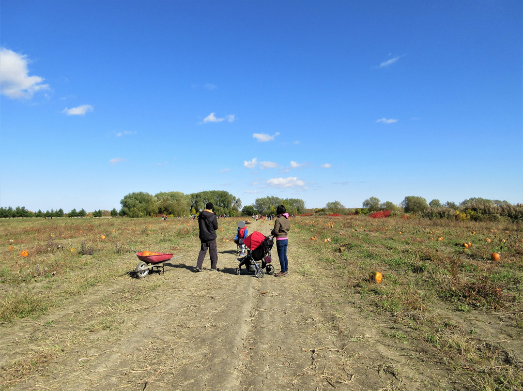 Centre d'Interpretation de la Courge du Quebec-Saint-Joseph-du-Lac必去景点