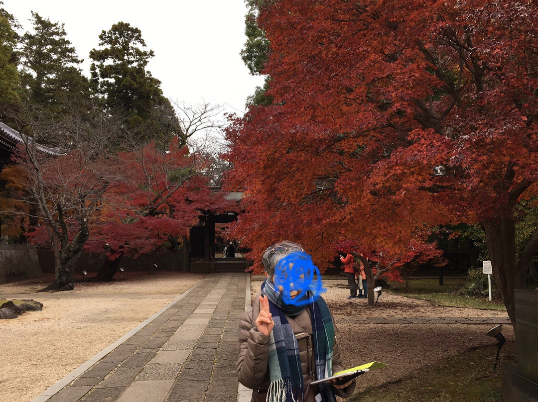 Tozen-ji Temple-松户市必去景点