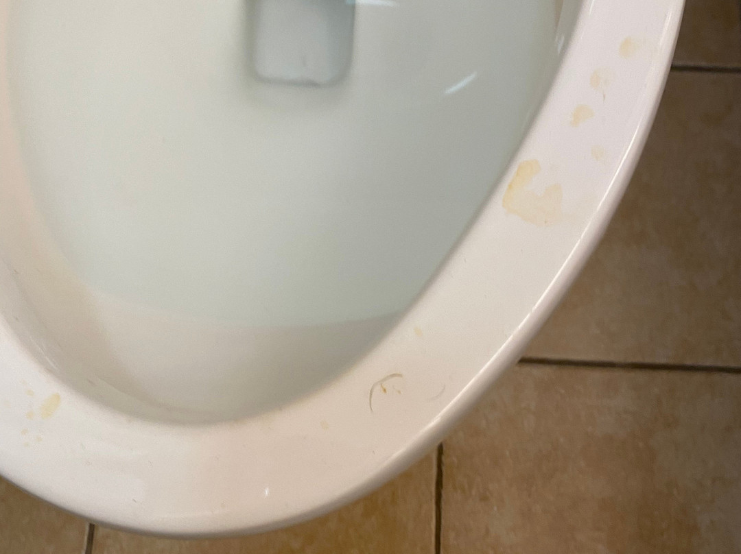 乔利埃特温盖特温德姆酒店主图