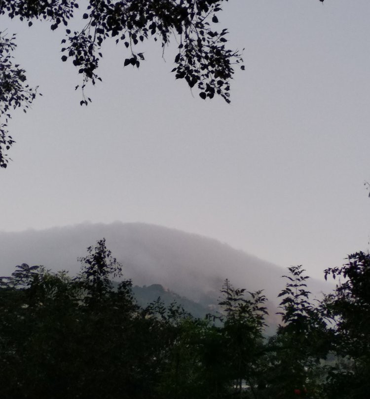 Sri Ramana Ashram-Tiruvannamalai必去景点