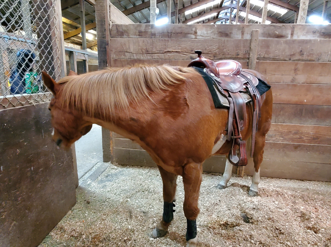 Wildwood Farm Bed and Breakfast主图