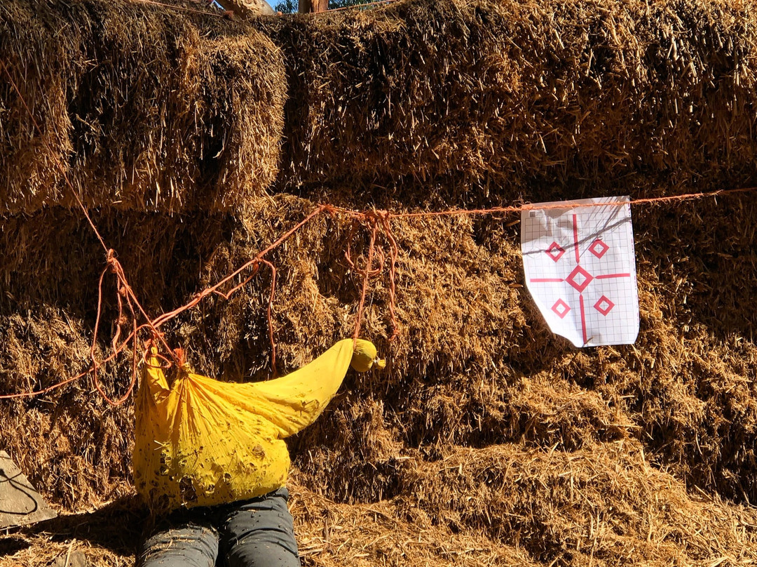 Mountain View Horse Trails-开普敦中心区必去景点